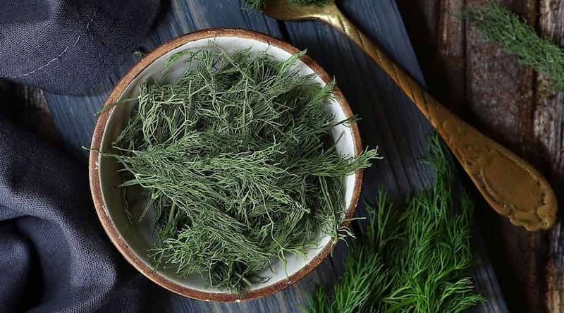 شوید خشک محلی با عطر طبیعی و کیفیت ممتاز از سبزی های تازه